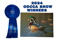 2024 ODCCA Show (Winning Decoys)